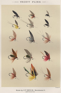 ANTIQUE PRINT OF FISHING FLIES FROM 1892